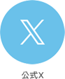 公式X