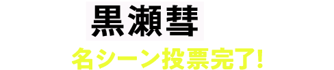 私の黒瀬彗はこれ！